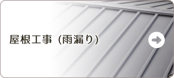 屋根工事(雨漏り、雨とい)